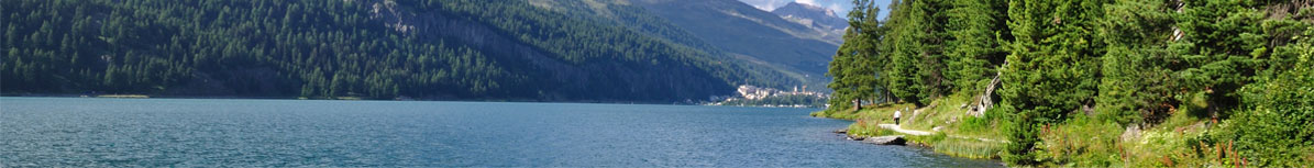 Slideshow image 5